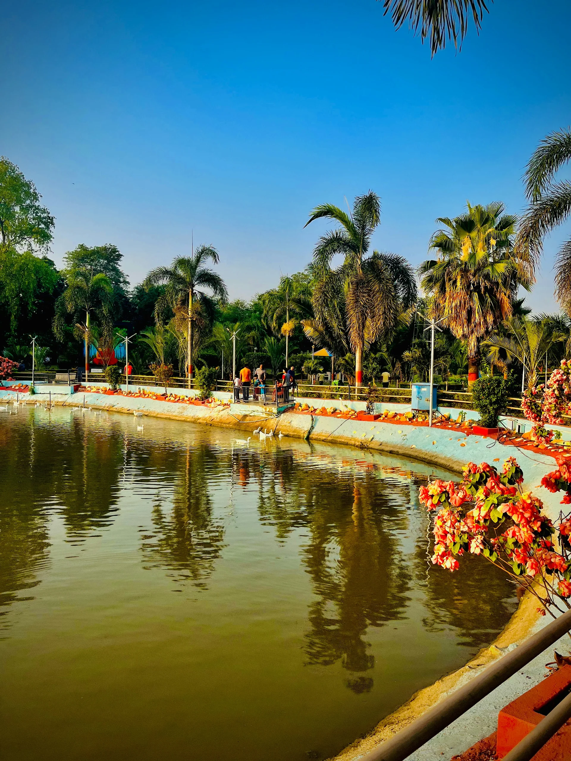 Campal Gardens