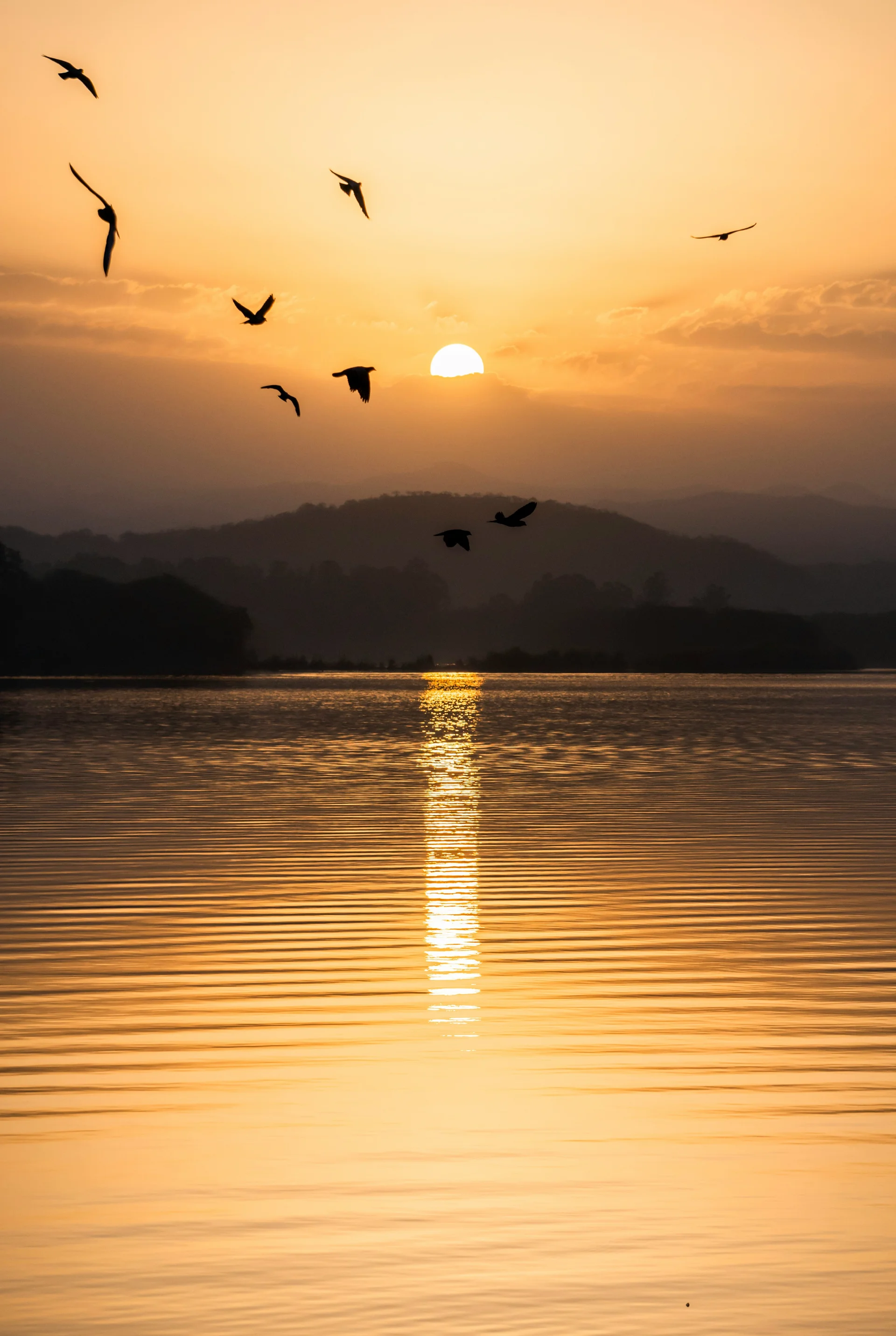 Sukhna Lake