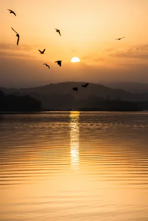 Sukhna Lake