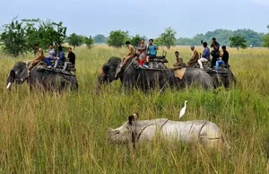 From Tantra-Mantra to Tourism: The Evolution of Mayong and Pobitora