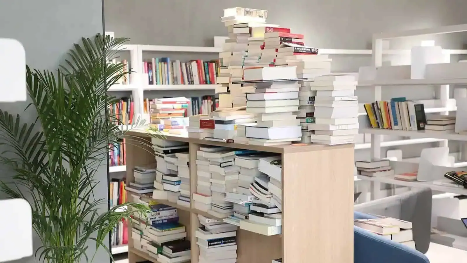 Hyderabad has a free reading haven with 16,000+ books