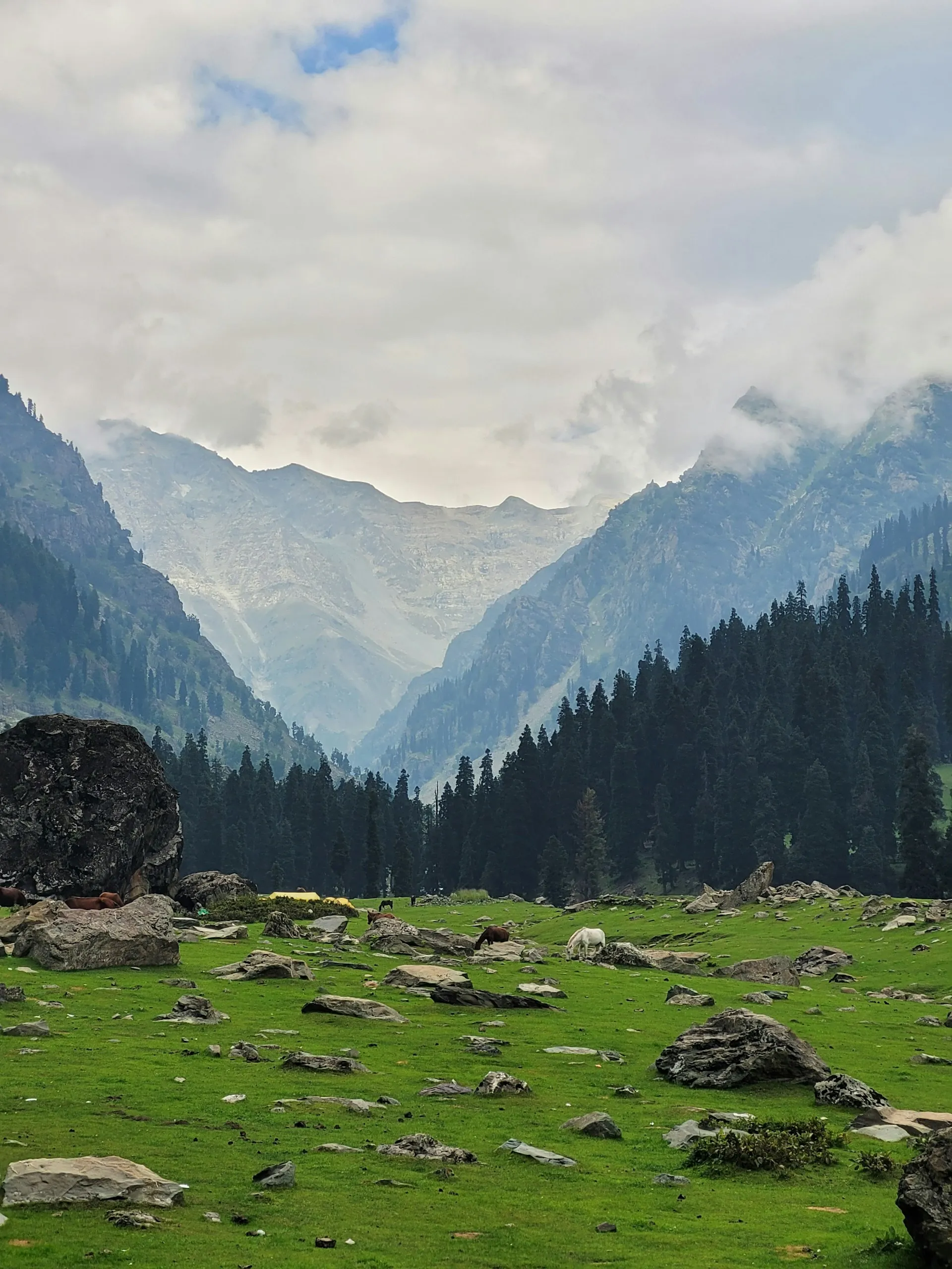 Kashmir Valley: A Paradise Adventure Experience