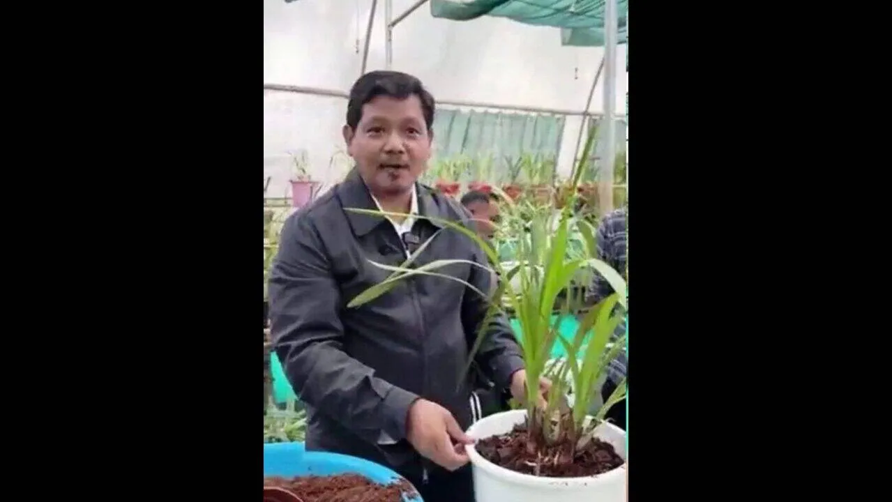 Japan emerges as key partner in Meghalaya’s agri, health and tourism