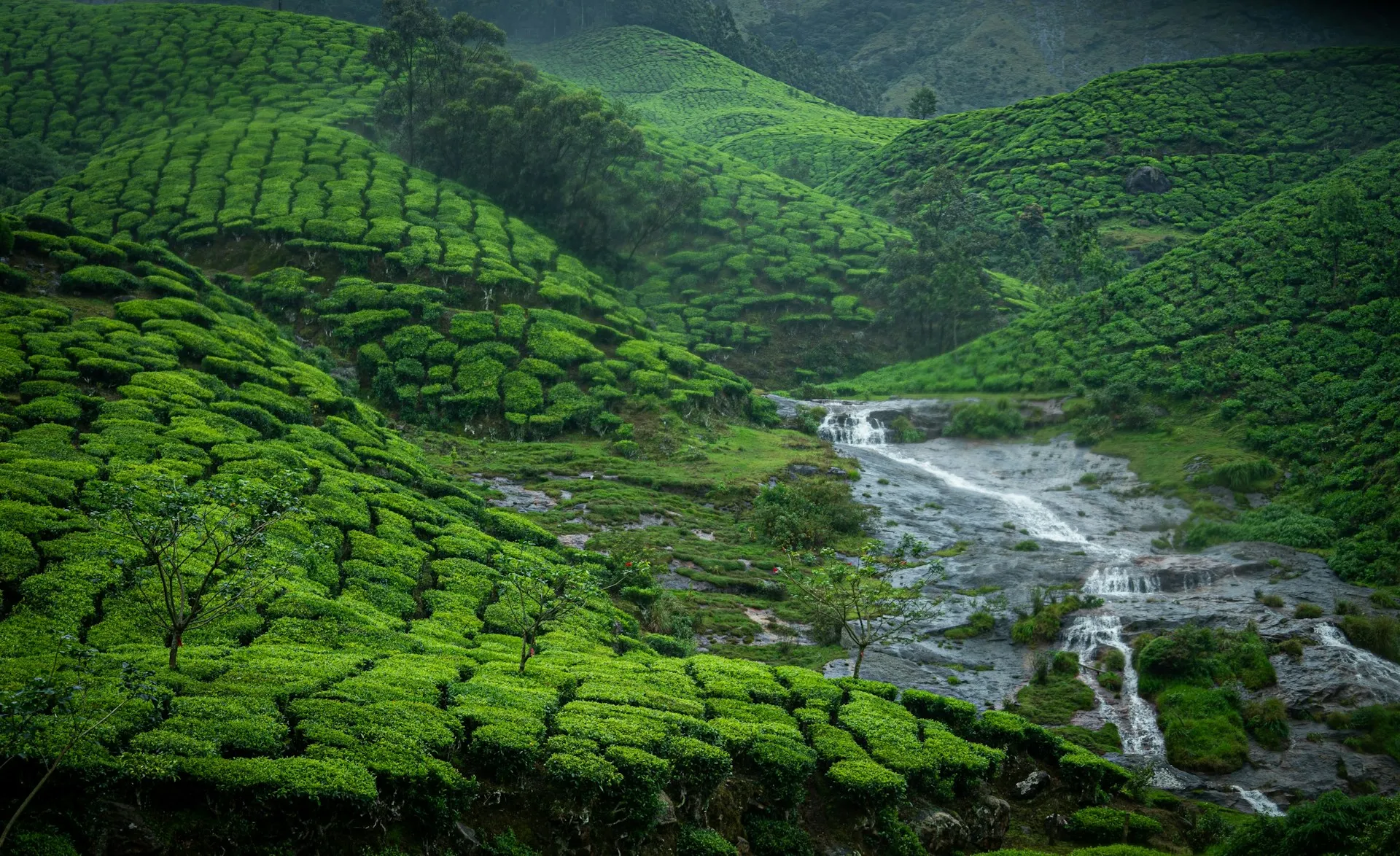 Kerala